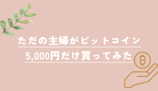 ただの主婦がビットコイン5,000円だけ買ってみた話